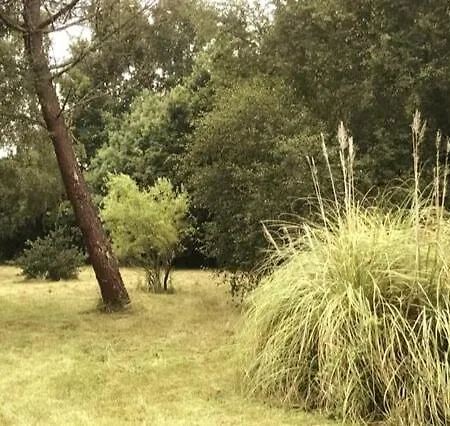 Feriehus Du Medoc Calme Piscine Privee Surf Medoc Montalivet