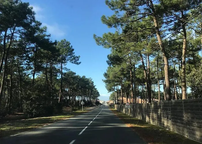 Du Medoc Calme Piscine Privee Surf Medoc Montalivet